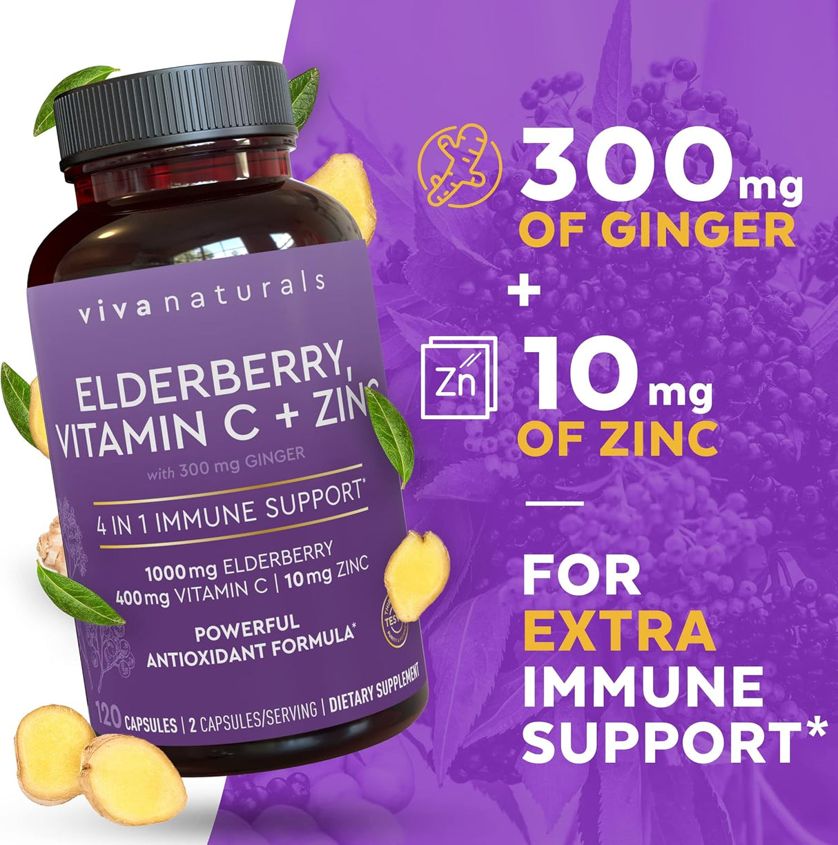 Suplementos Alimenticios bayas del saúco orgánico