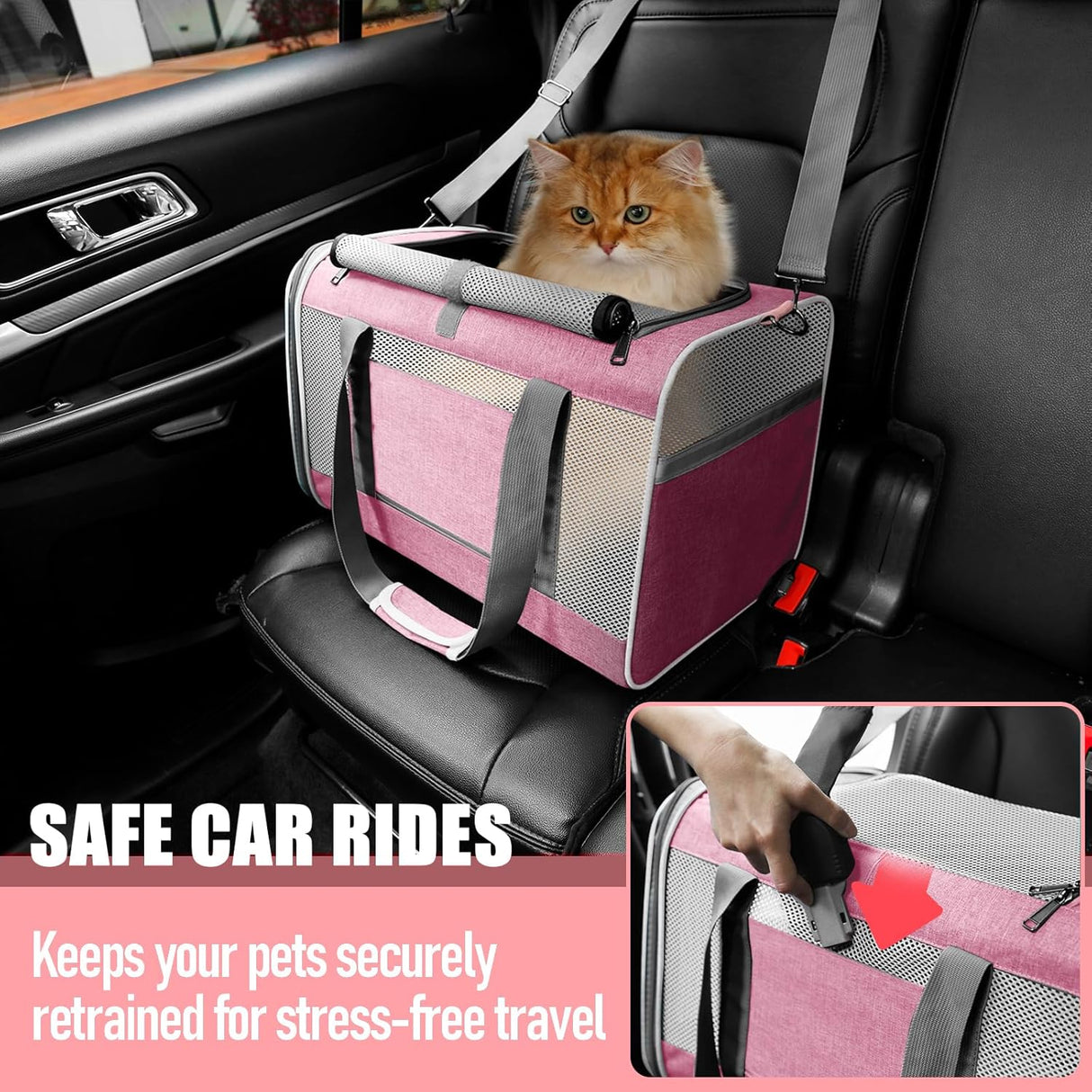 Transportador para Gato Maine Coon y Perro Pequeño, Top Open