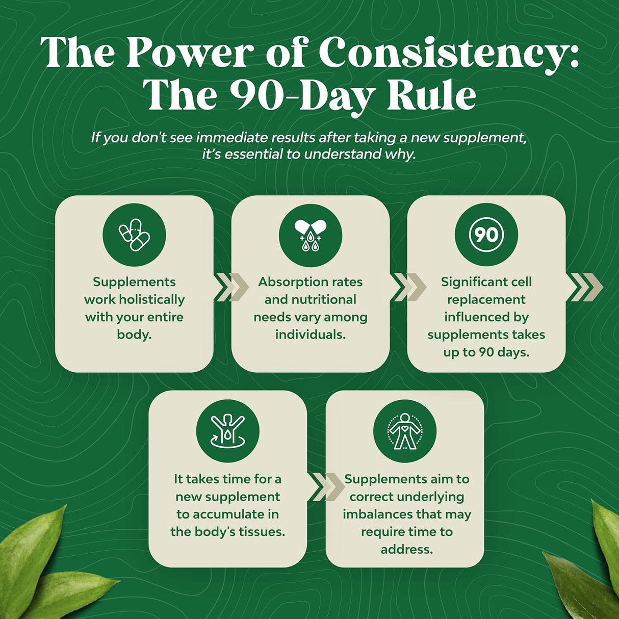 Suplemento Pure Saw Palmetto Extract crecimiento del cabello