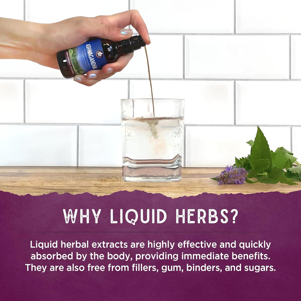 Suplemento Activador con equinácea defensa inmunológica