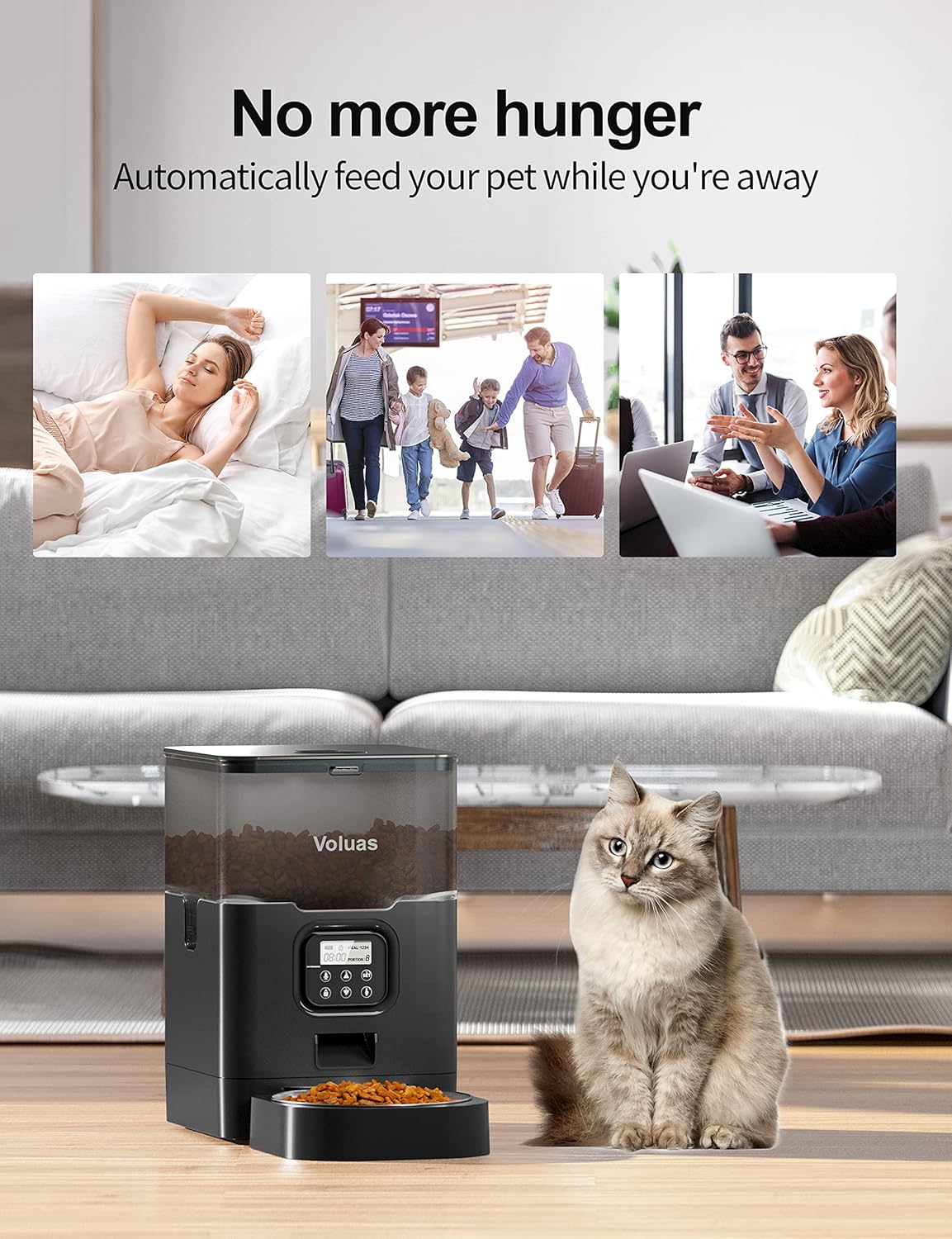 Dispensador de alimentos secos para gatos con temporizador