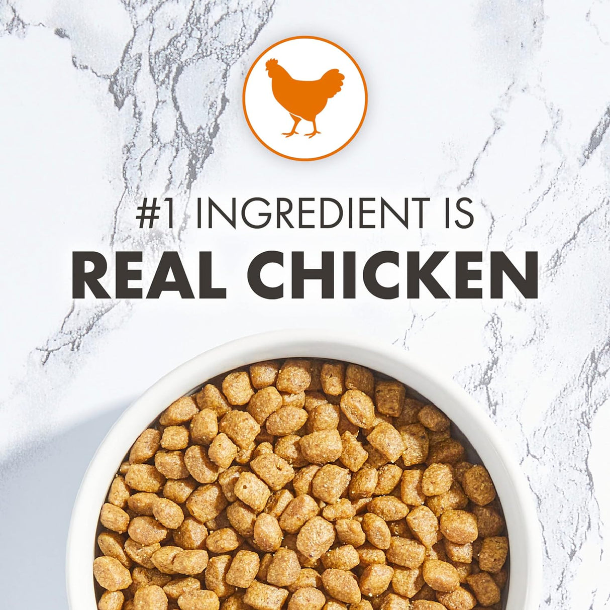 NUTRO WHOLESOME ESSENTIALS - Alimento seco natural para gatos para el desarrollo temprano, receta de pollo y arroz integral criado en granja, bolsa de 3 libras