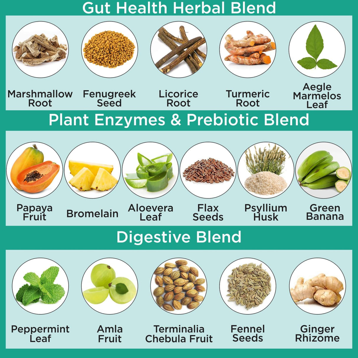 Suplemento para la Salud Intestinal con Enzimas y Prebióticos
