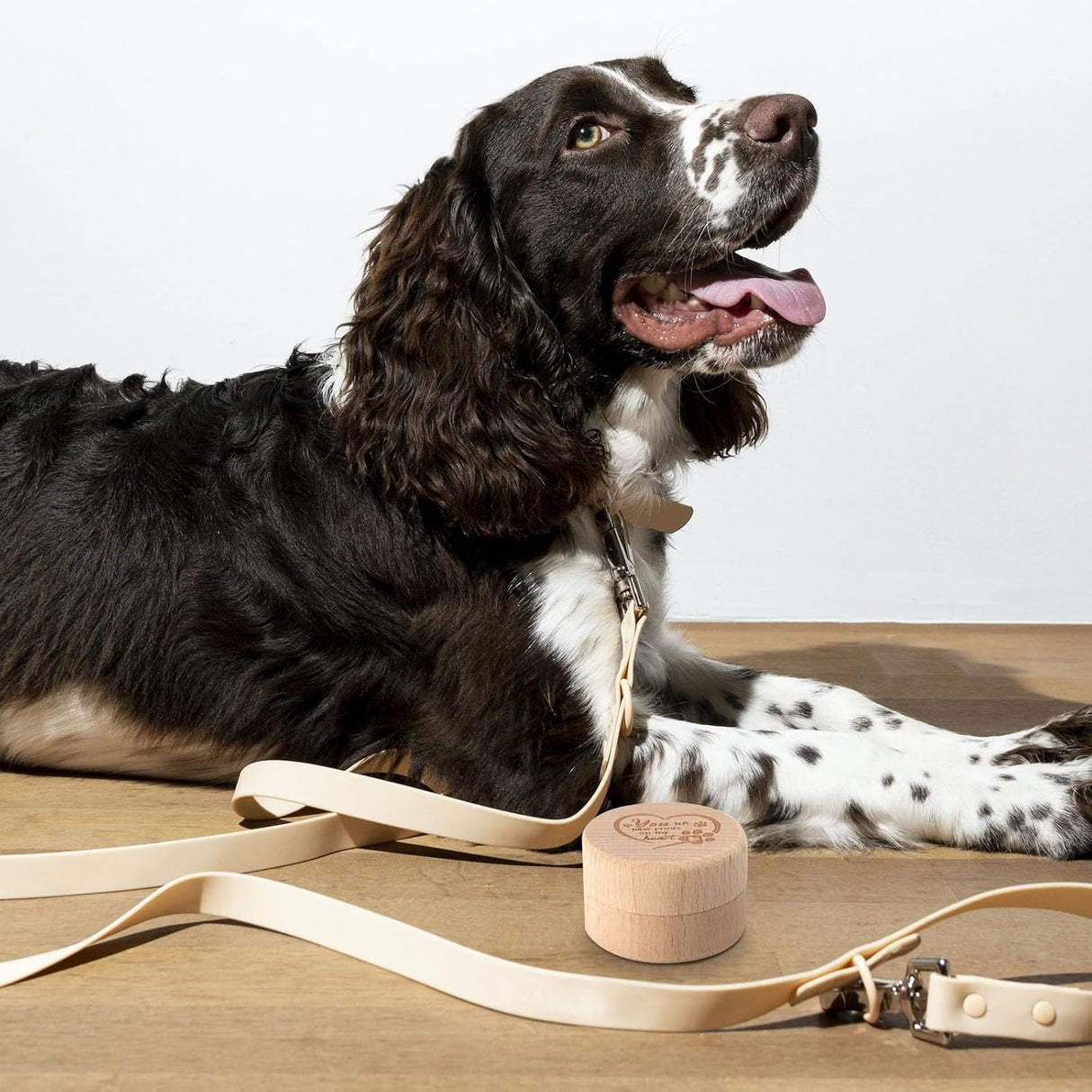 Caja de Recuerdos para Mascotas, Memoria de Madera, Corazón