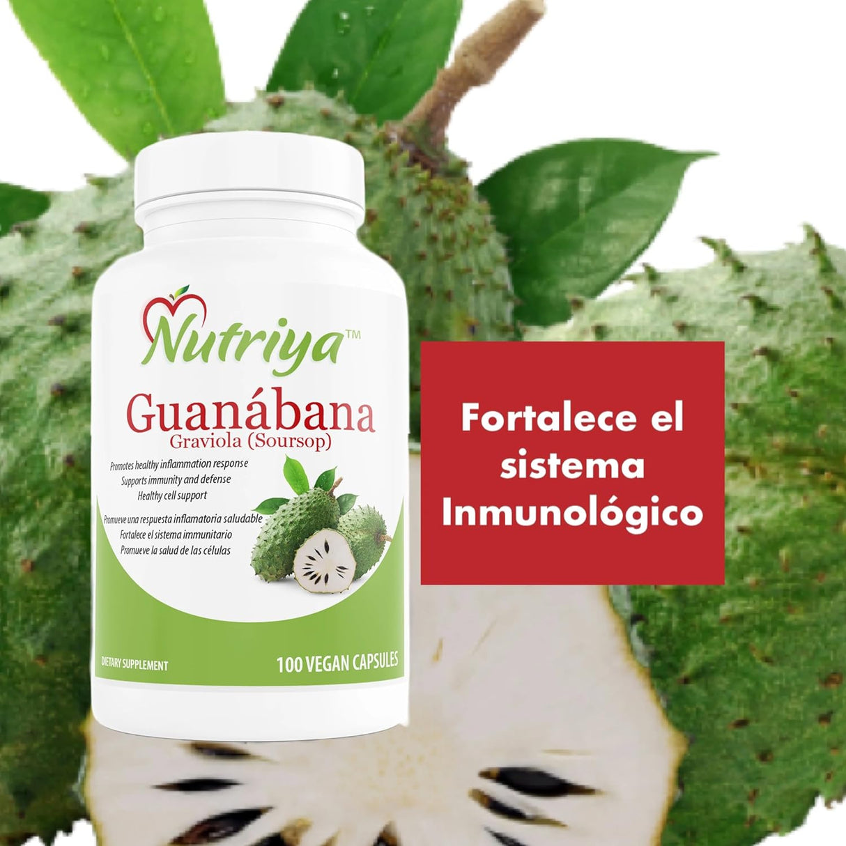 Guanábana (Graviola) - Antioxidante y Refuerzo Inmunológico