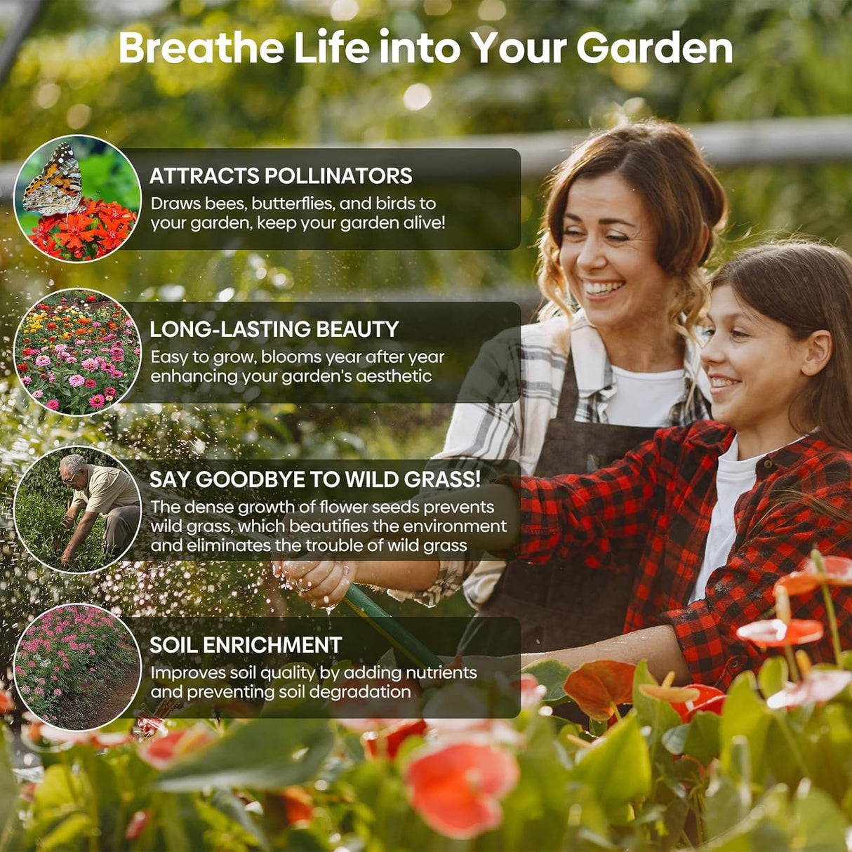 Mezcla de Semillas Silvestres para Colibríes y Mariposas