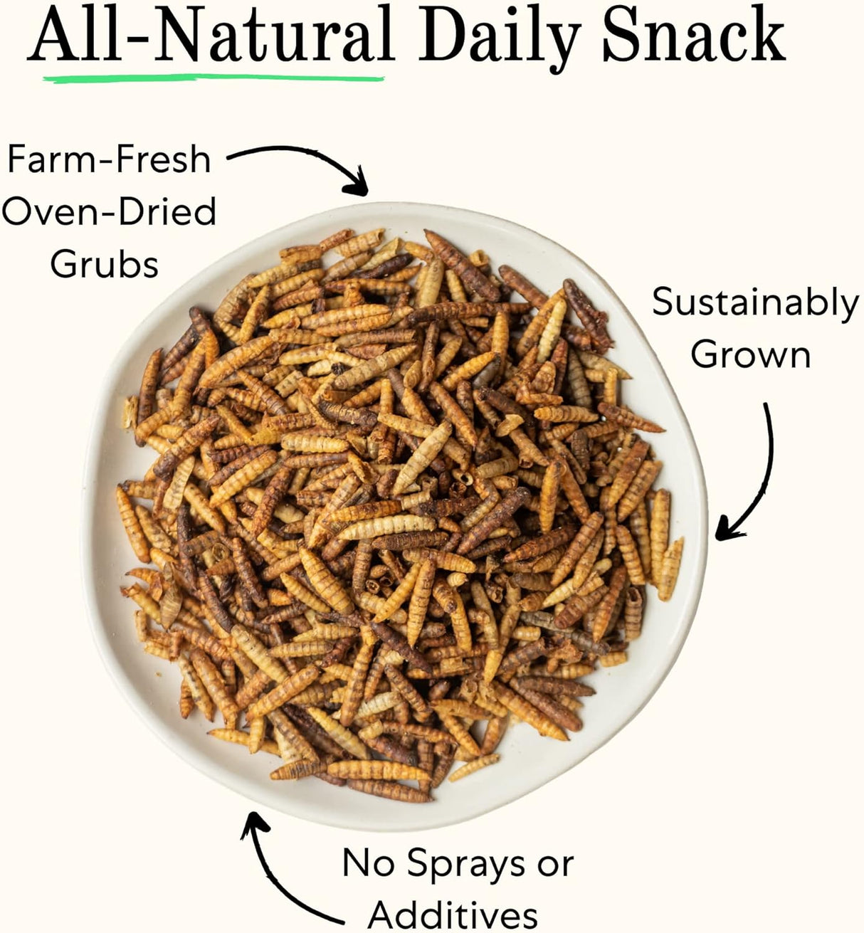 Más saludable que los gusanos de harina para pollos