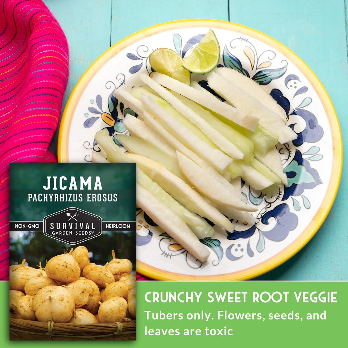 Semillas de Jícama - Heirloom, Resistente a la Sequía, 1 Paquete