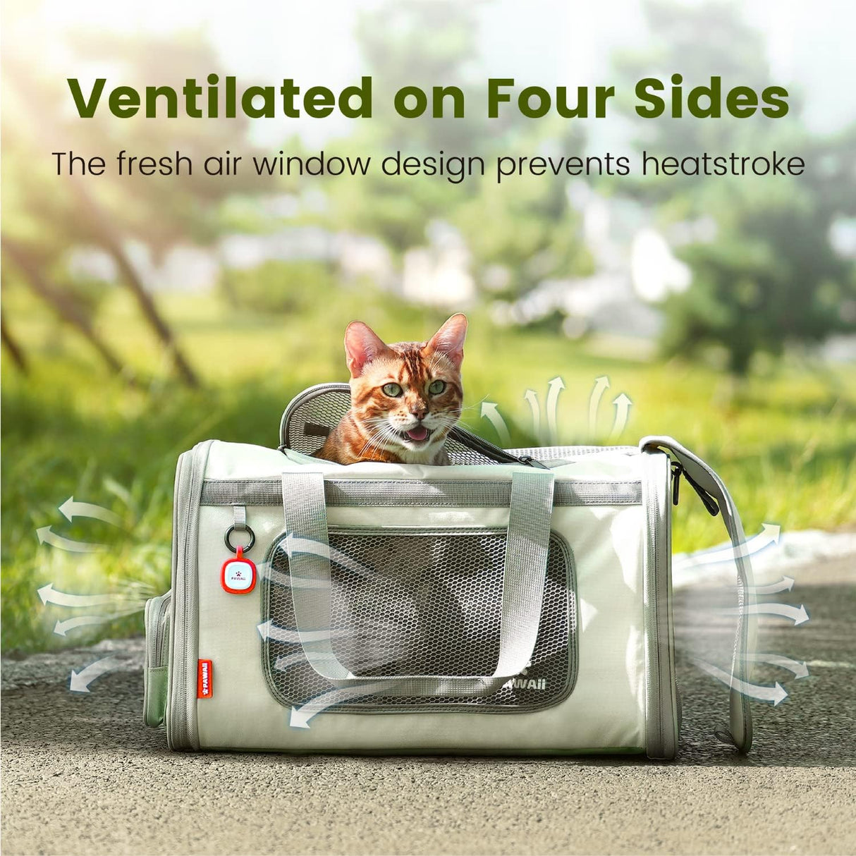 Transportín Pawaii para gatos, suave, plegable y cómodo.