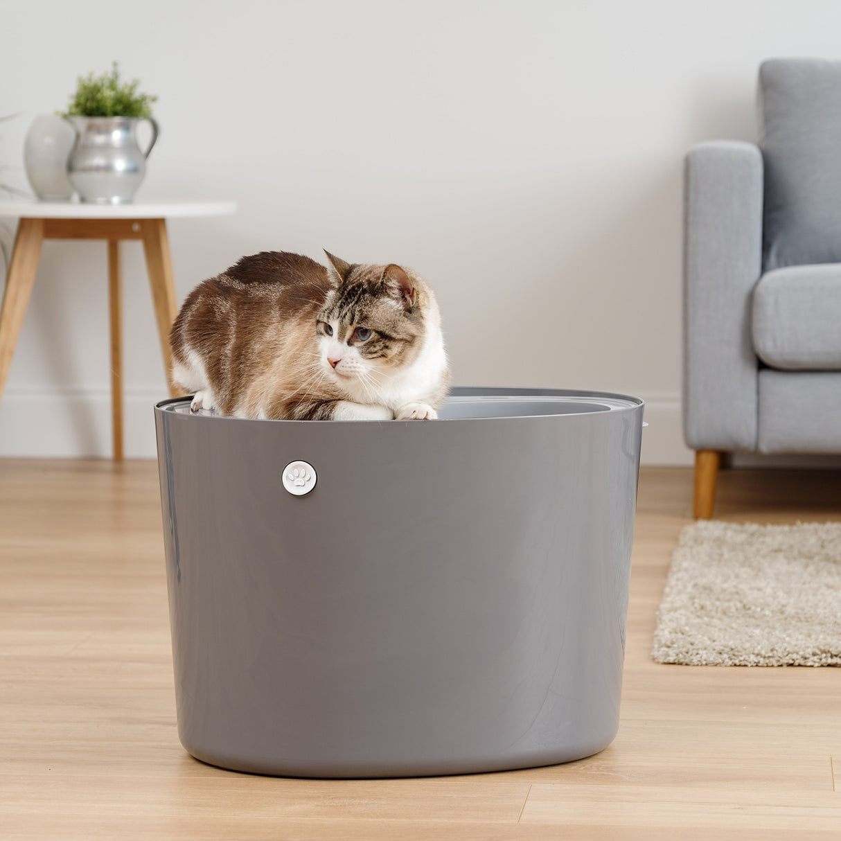 Caja de arena para gatos con entrada superior IRIS