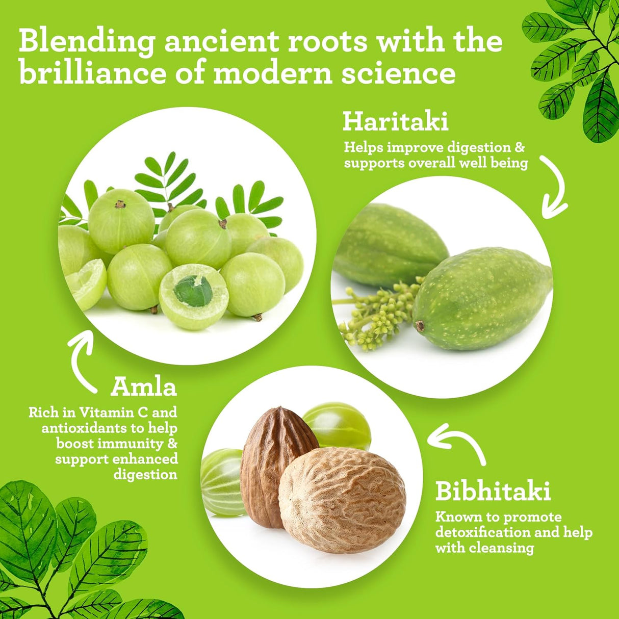 Suplemento GuruNanda Digestiva Triphala dietético con amla