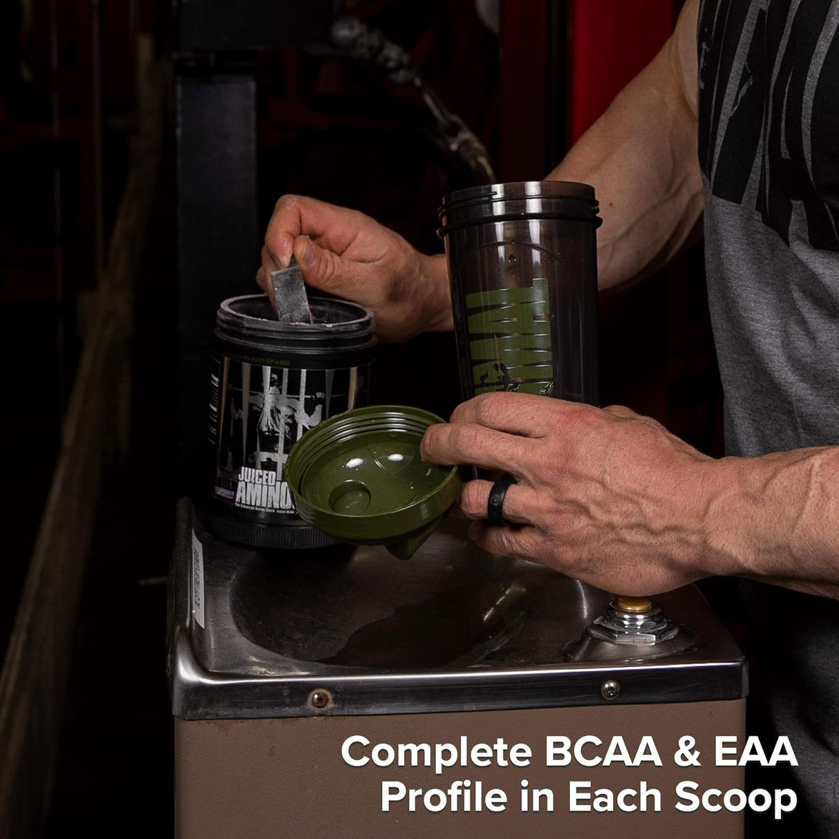 Suplementos Alimenticios Aminoácidos animales exprimidos