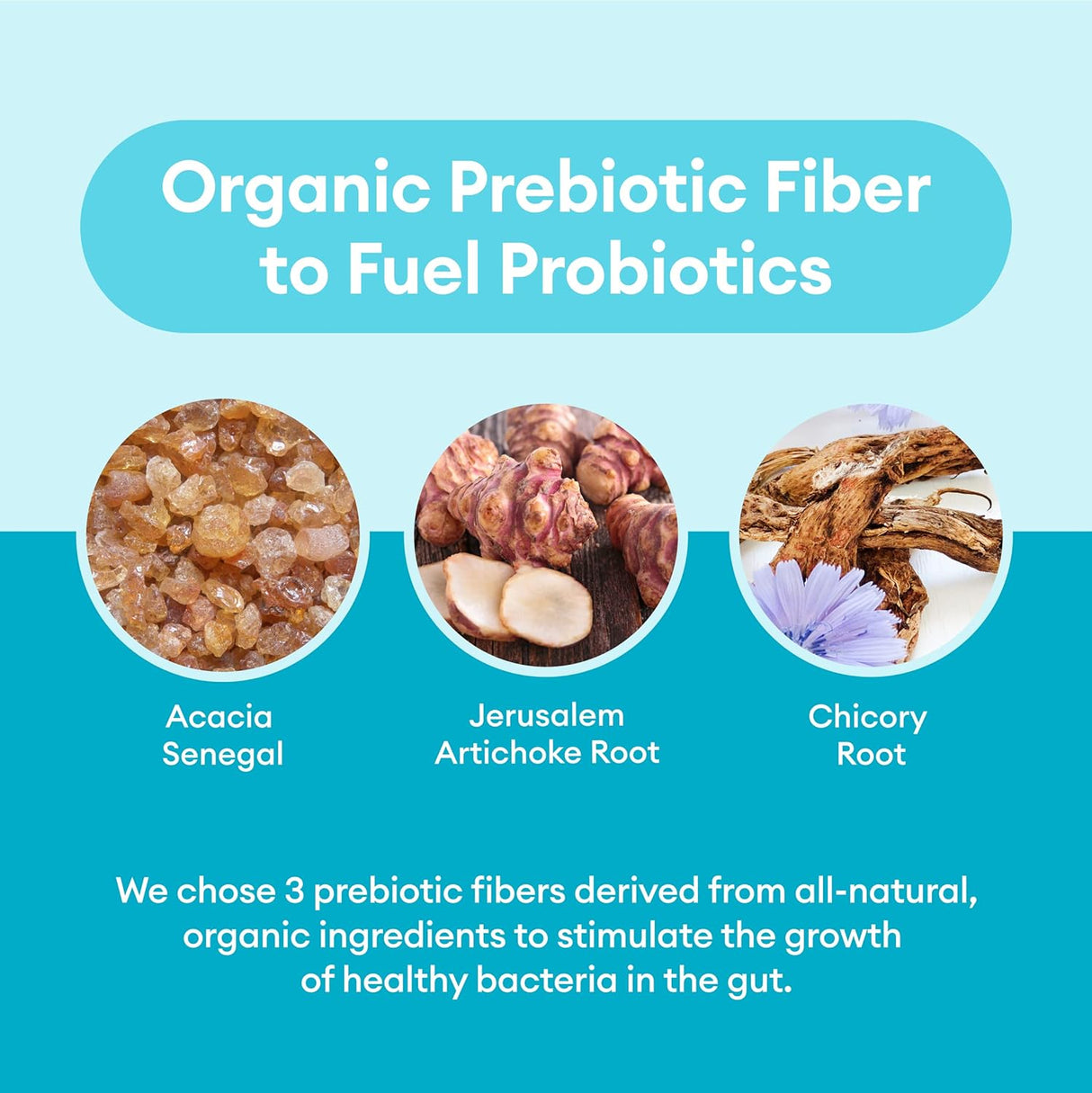 Suplementos Alimenticios probiótico estable