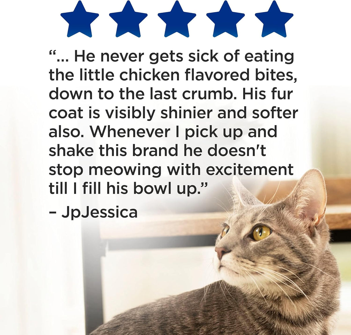 Purina Cat Chow Alimento seco para gatos alto en proteínas, completo - (4) bolsas de 3.15 libras