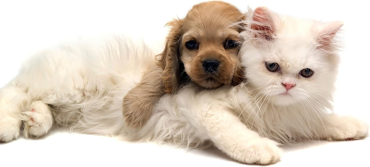 Capsulas relajantes para gatos PET SUPPLEMENTS