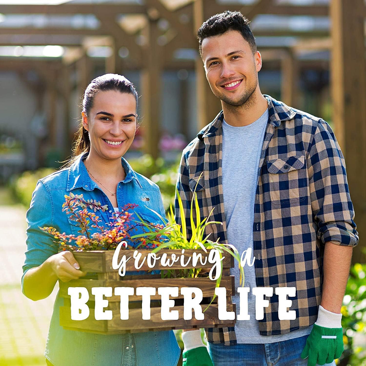 Semillas de Calabacín, No GMO, Heirloom, 25 Semillas