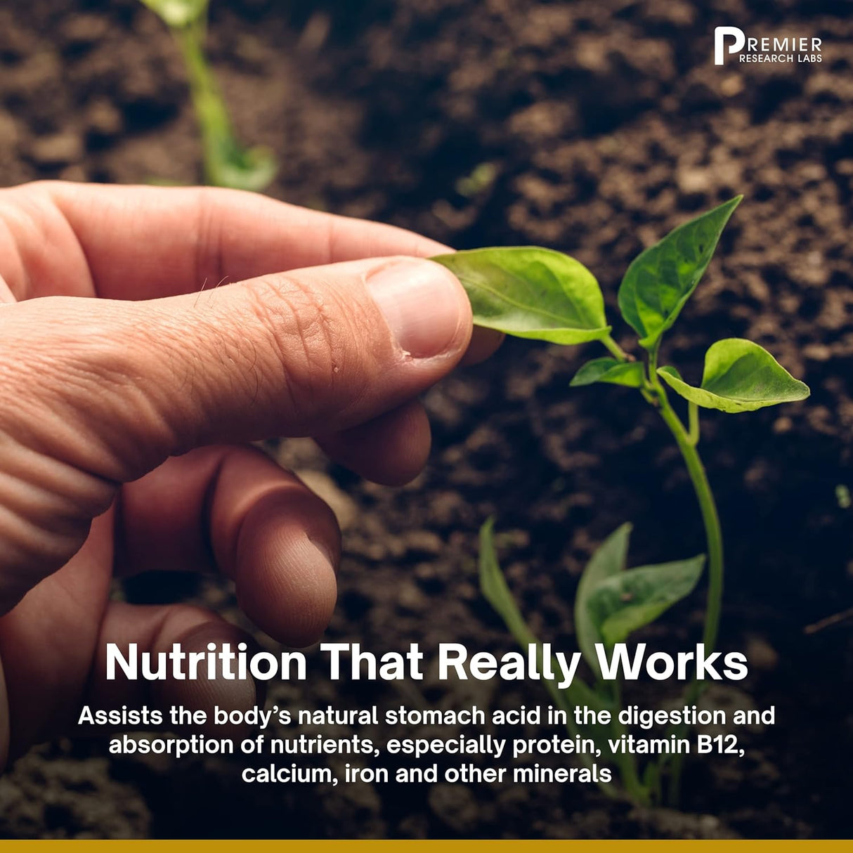 Suplementos Noni apoyo para la digestión y la defensa 60 un