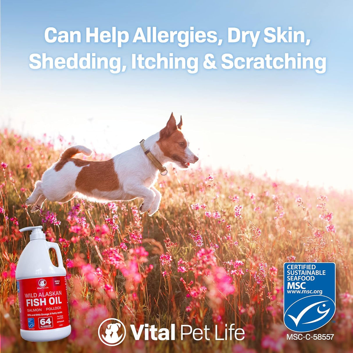 Vitaminas Aceite de pescado para perros salvaje de Alaska