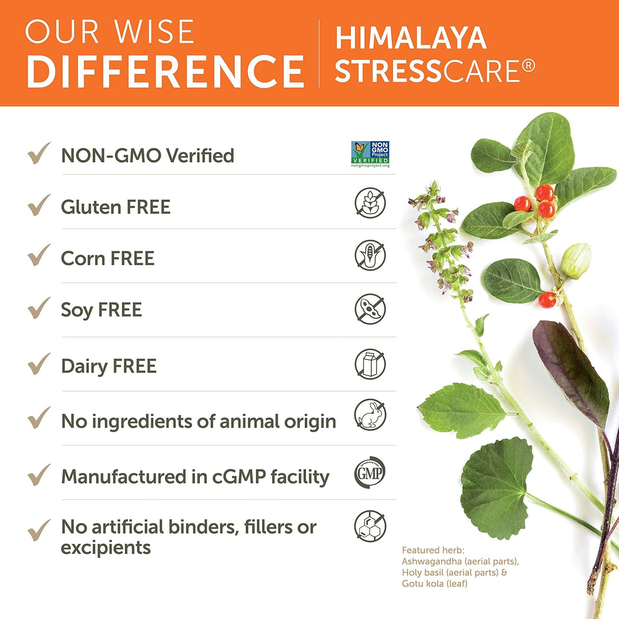 Suplemento Herbario para Estrés y Energía, Vegano, 240 cápsulas