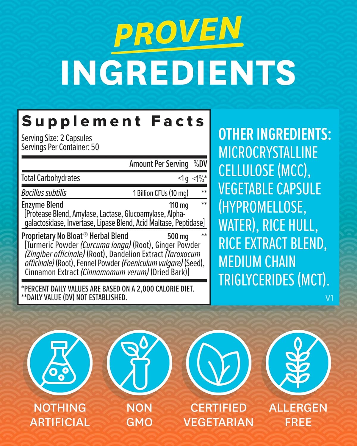 Suplemento Probióticos para la salud digestiva con jengibre
