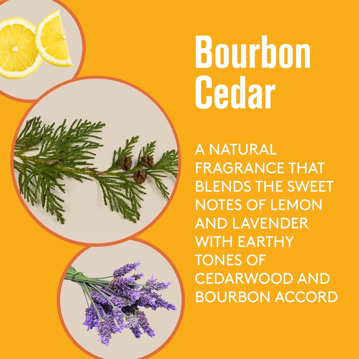 Exfoliante facial de carbón con piedra pómez volcánica