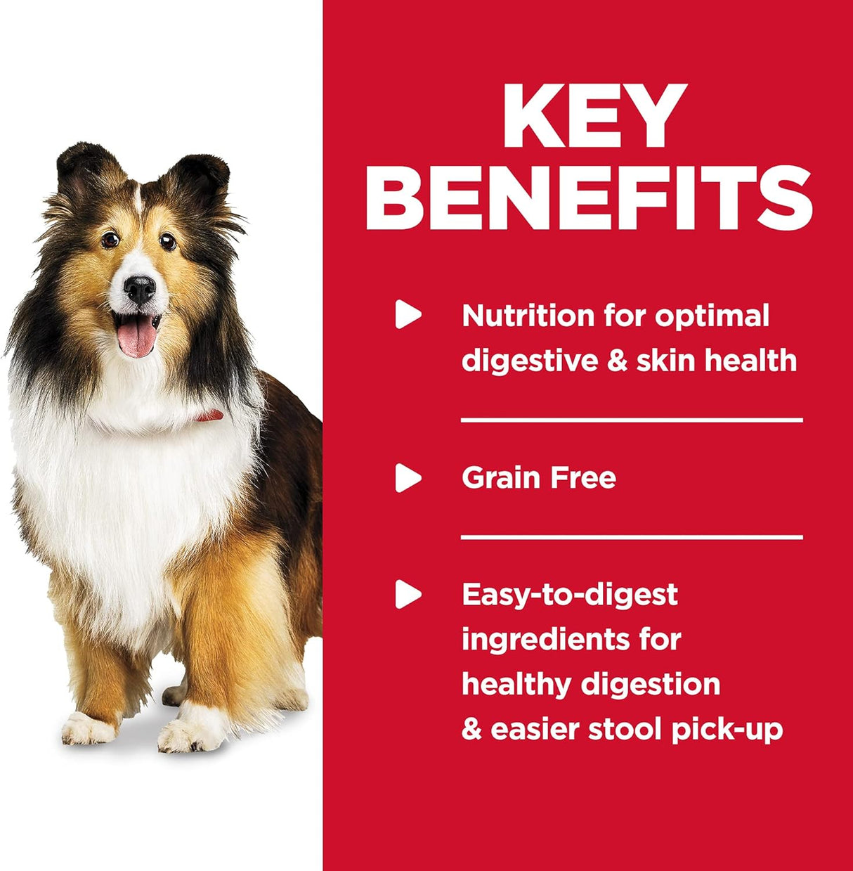 Alimento para Perros húmedo estómago y piel sensible