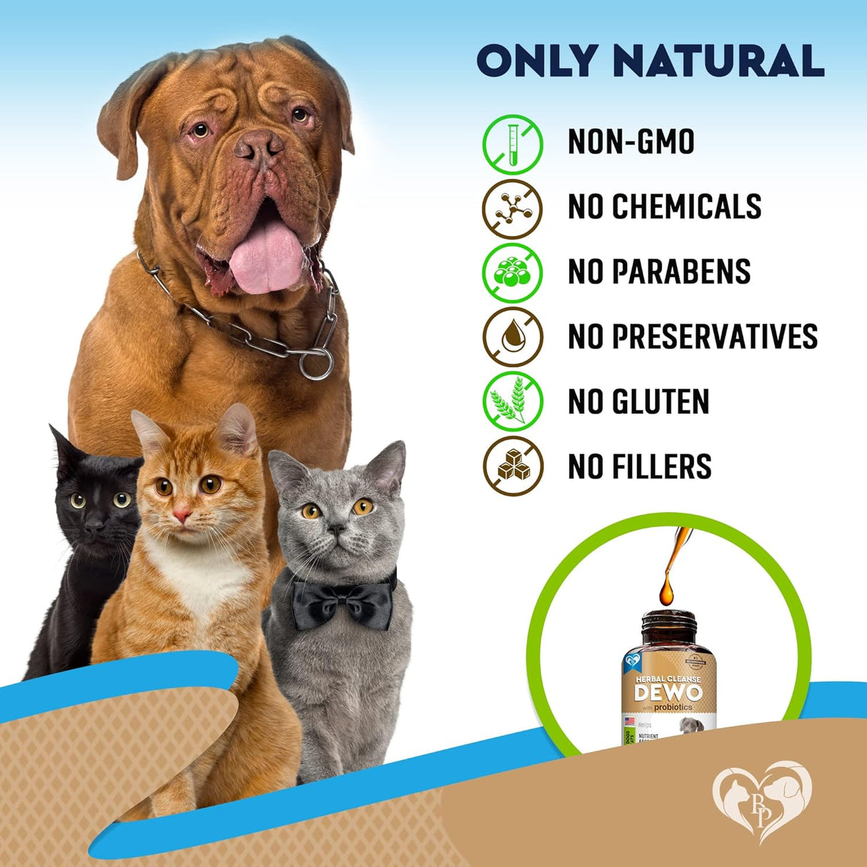 Suplementos natural para gatos con probióticos