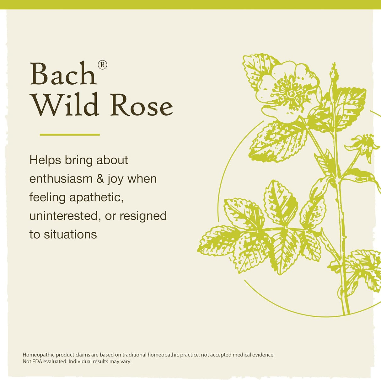 Bach Remedio floral original Gotero 86692-B Rosa salvaje