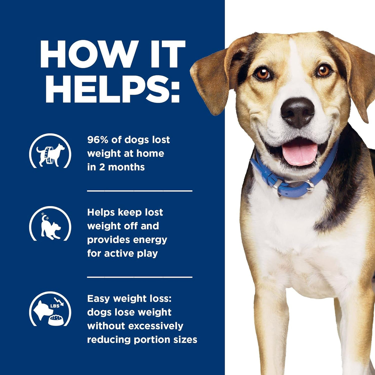 Alimento para Perros seco con fórmula de cordero y arroz