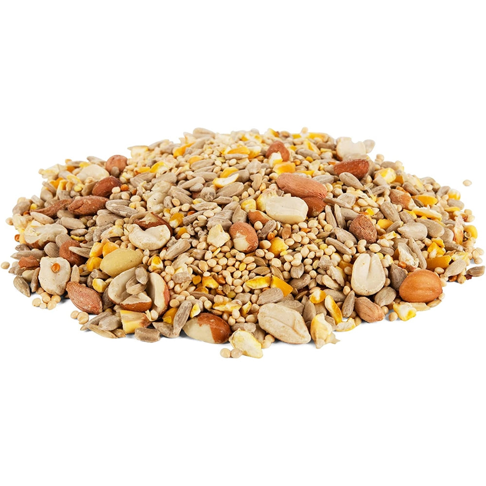 Mañana canción limpio y libre