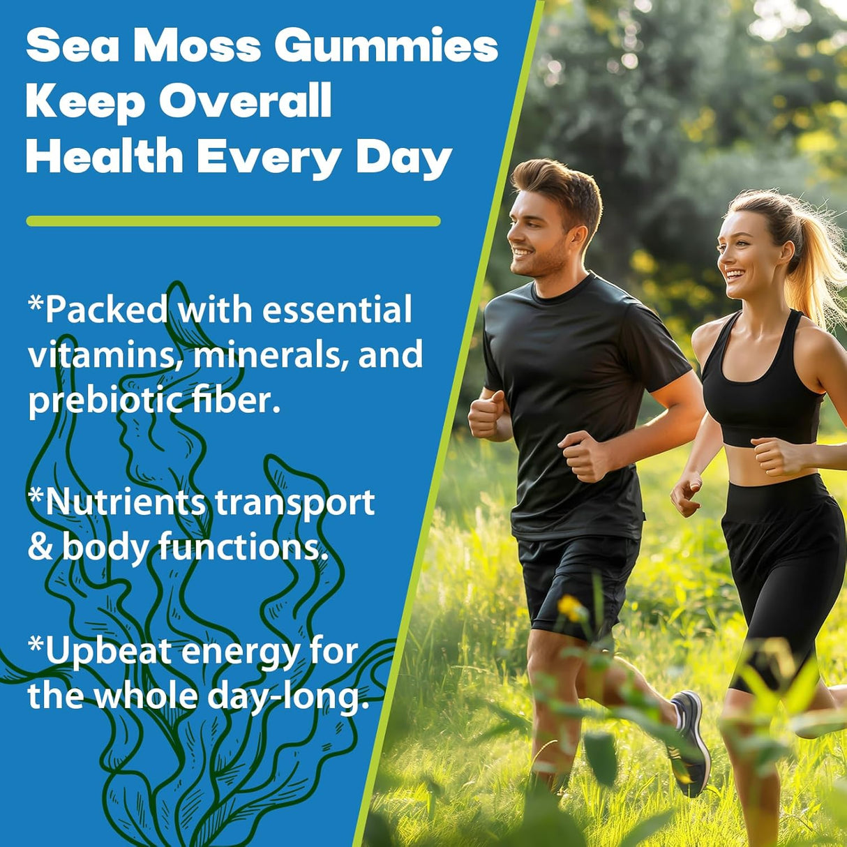 Gomitas de Sea Moss Irish 3100mg, 120 unidades