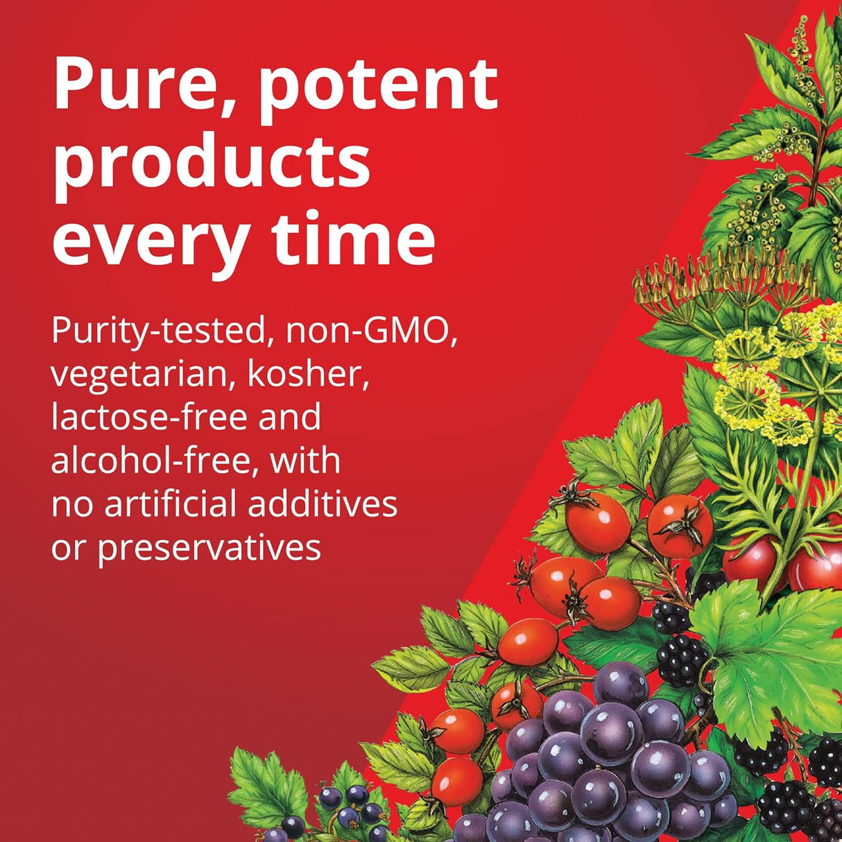 Suplementos Alimenticios vegetariano para apoyo energético