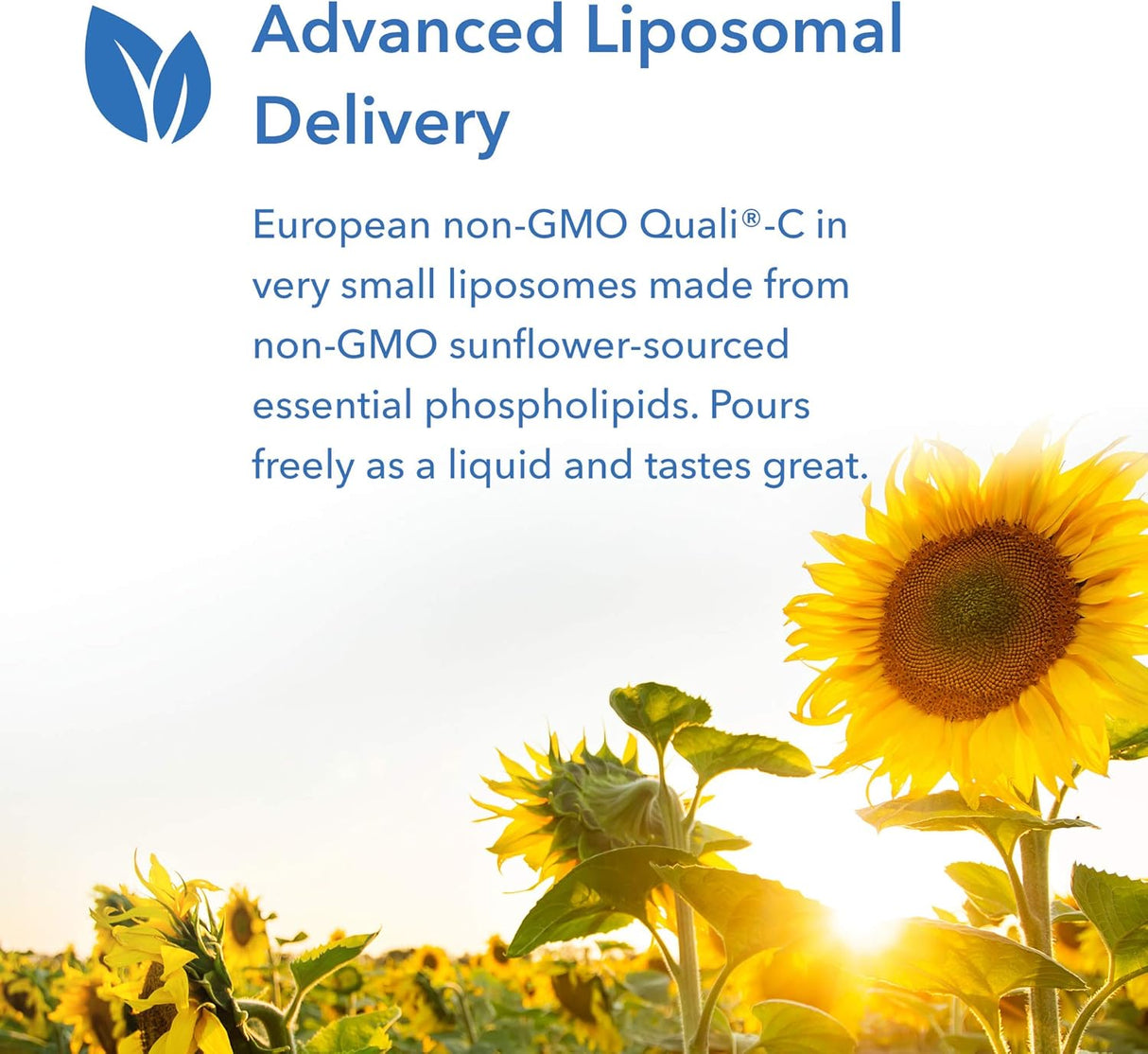 Suplementos Micro Liposomal C 4 fl oz 120ml Liquid