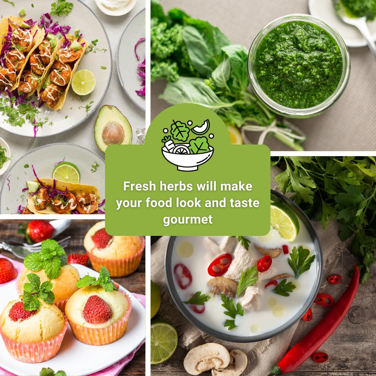 Colección de Semillas de Hierbas - Sow Right Seeds - 5 Paquetes