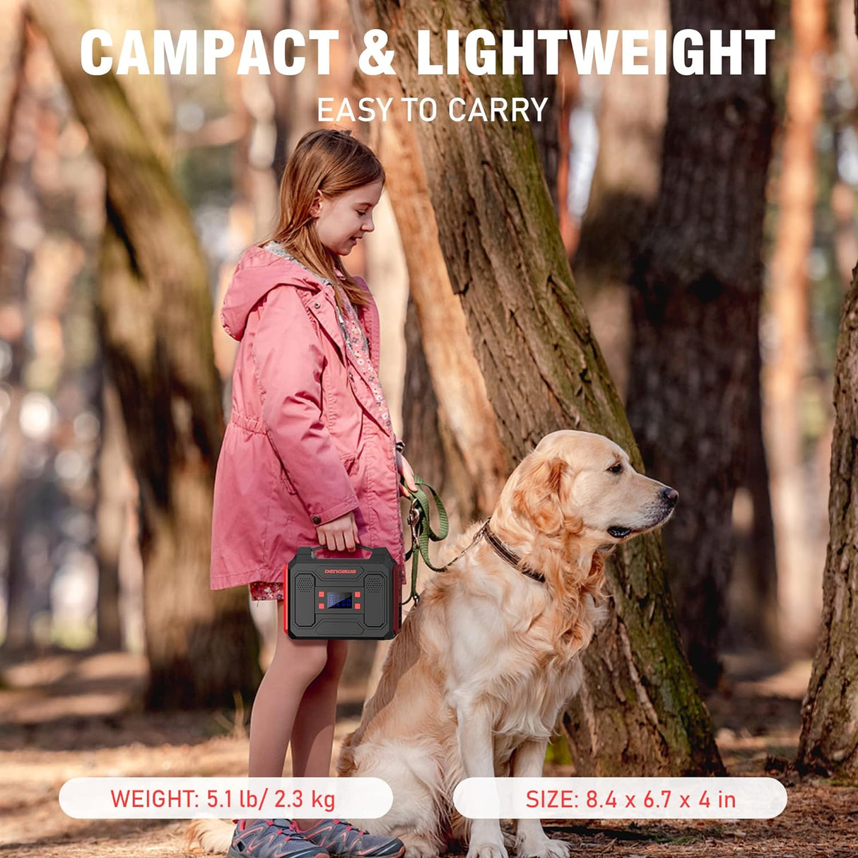 Cargador de energía portátil con salida de litio