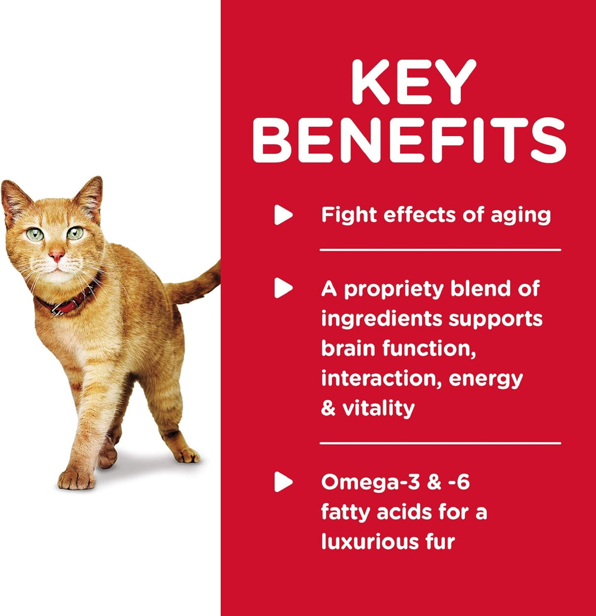 Alimento húmedo para gatos pollo y verduras caja de 24