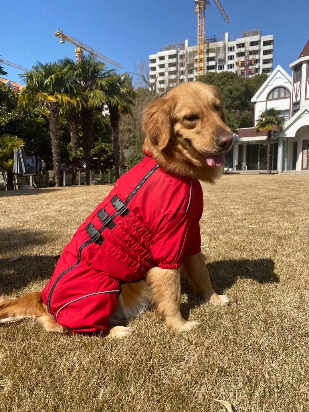 Chubasquero Perro, Reflectante, Impermeable, Talla XXL