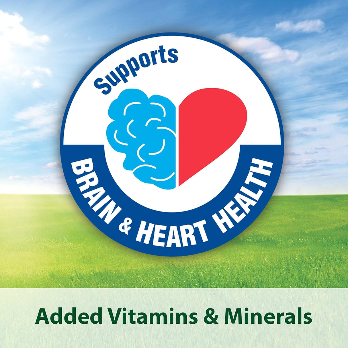 Kaytee Omega 3 para apoyar la salud del cerebro, 3 libras