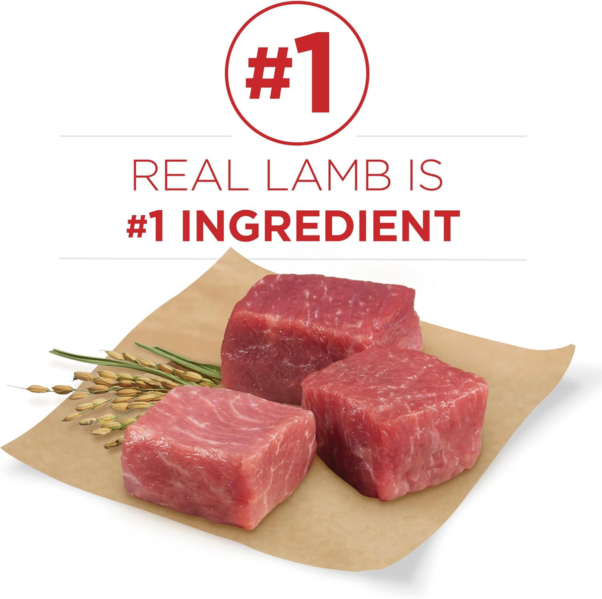 Alimento Seco para Perros Purina ONE Cordero y Arroz 16.5 lb.