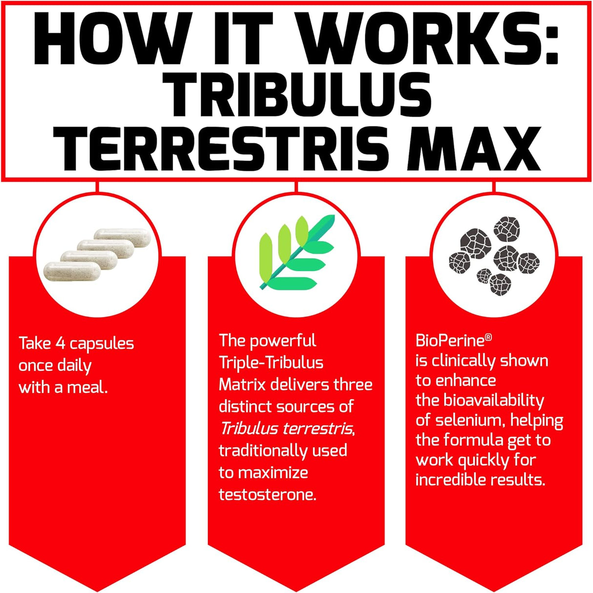 Suplemento Tribulus Terrestris Max refuerzo de testosterona