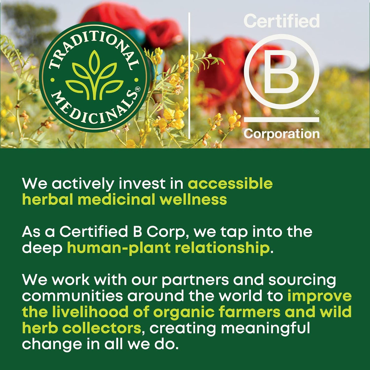 Suplemento de jengibre y limón Organic Belly Comfort 30 un