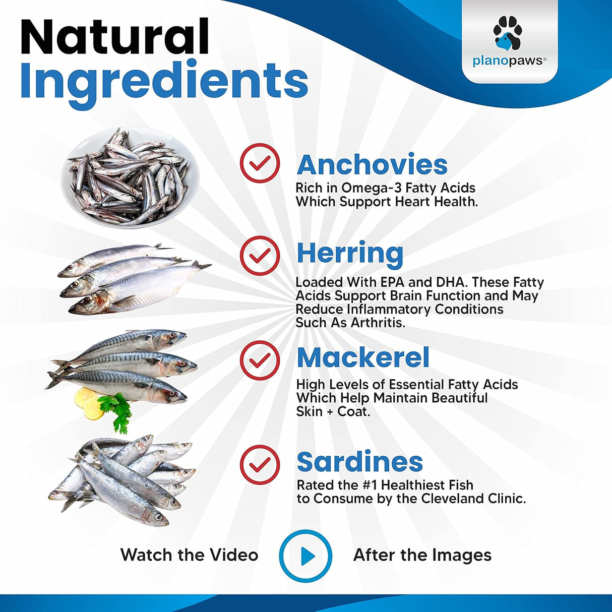 Vitaminas Aceite de pescado para perros mejor que el aceite