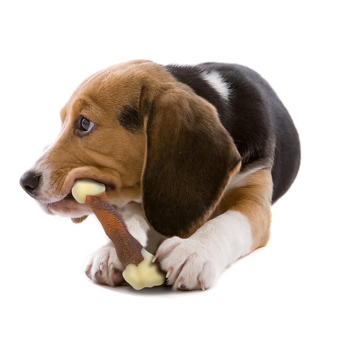 jugute de masticar para perro