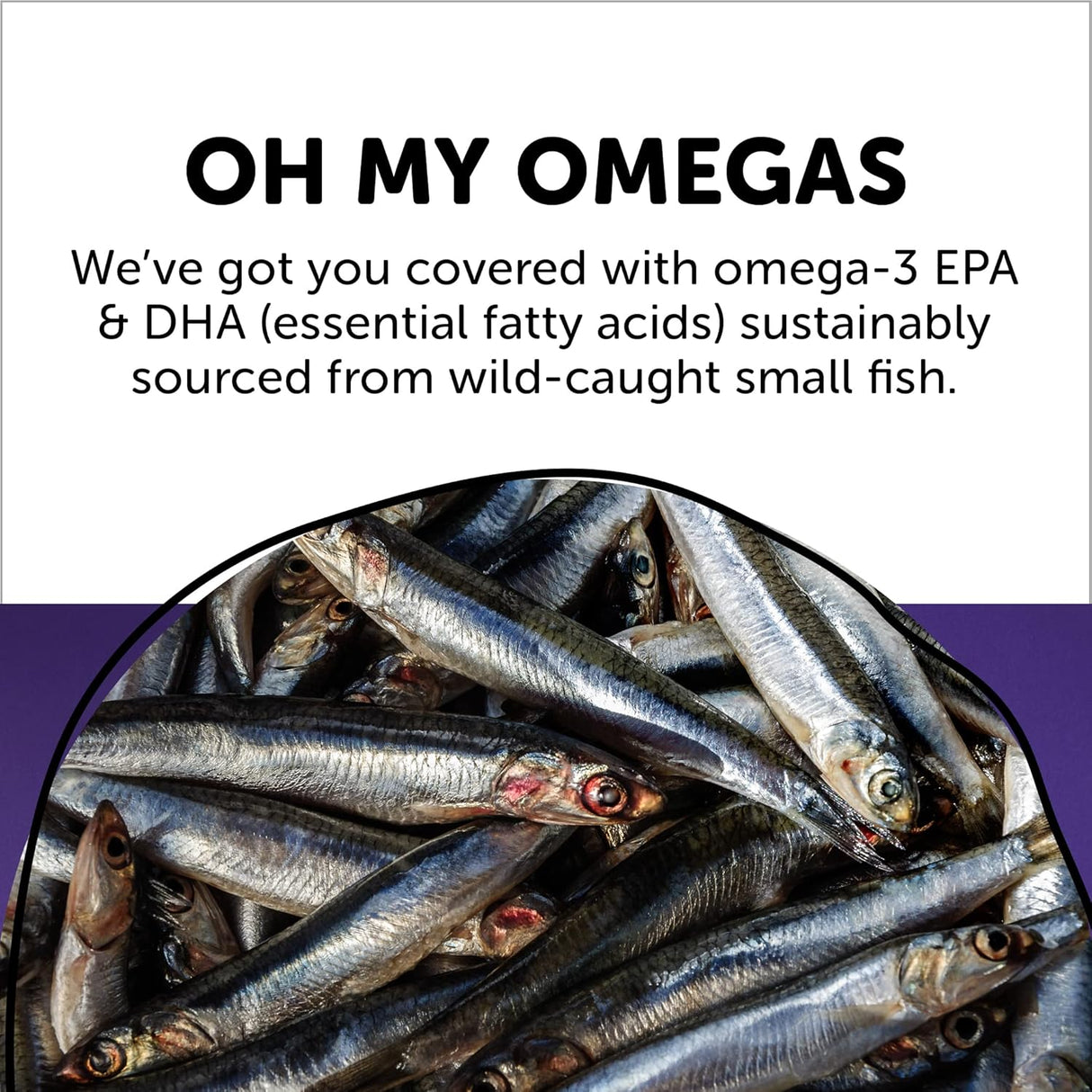 Multivitamínico diario para adultos con fibra SmartyPants