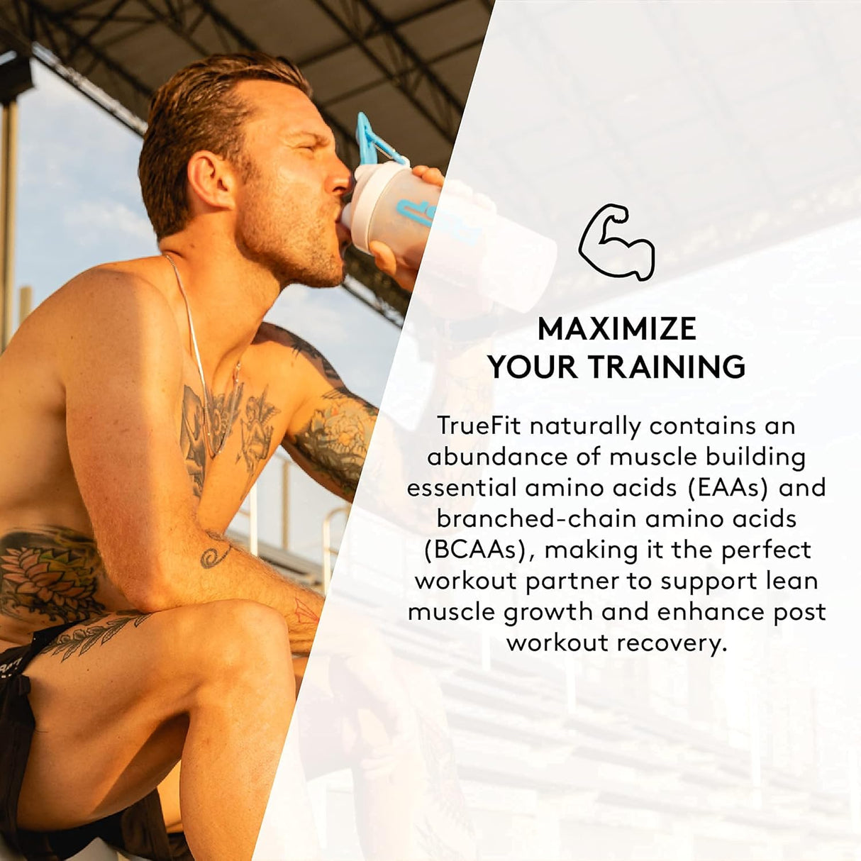 Suplementos Alimenticios Batido de repuesto de proteína