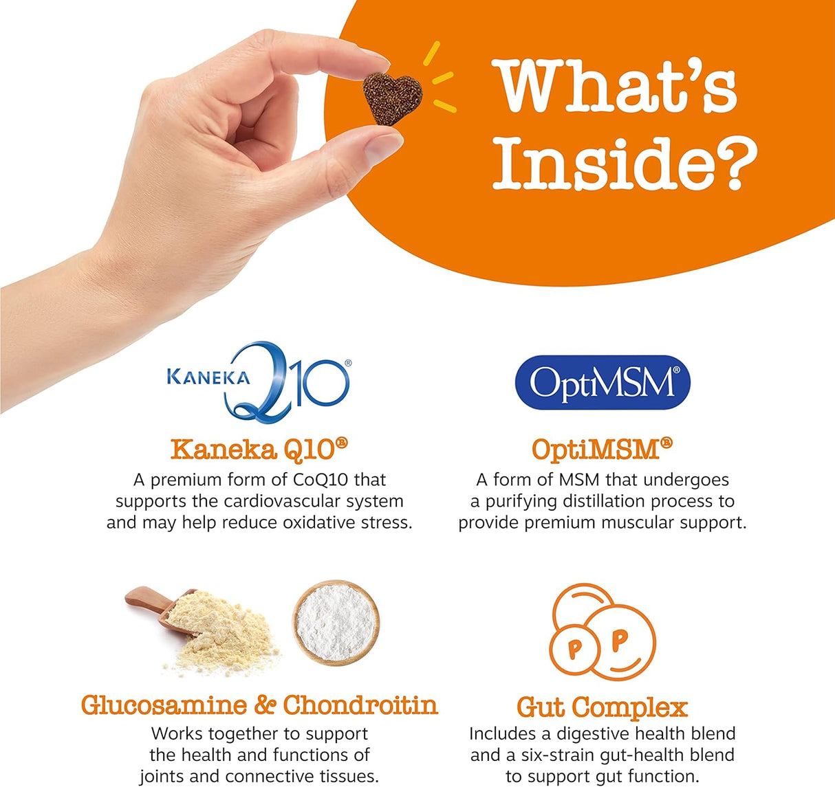 Vitaminas para perros para cadera y articulaciones