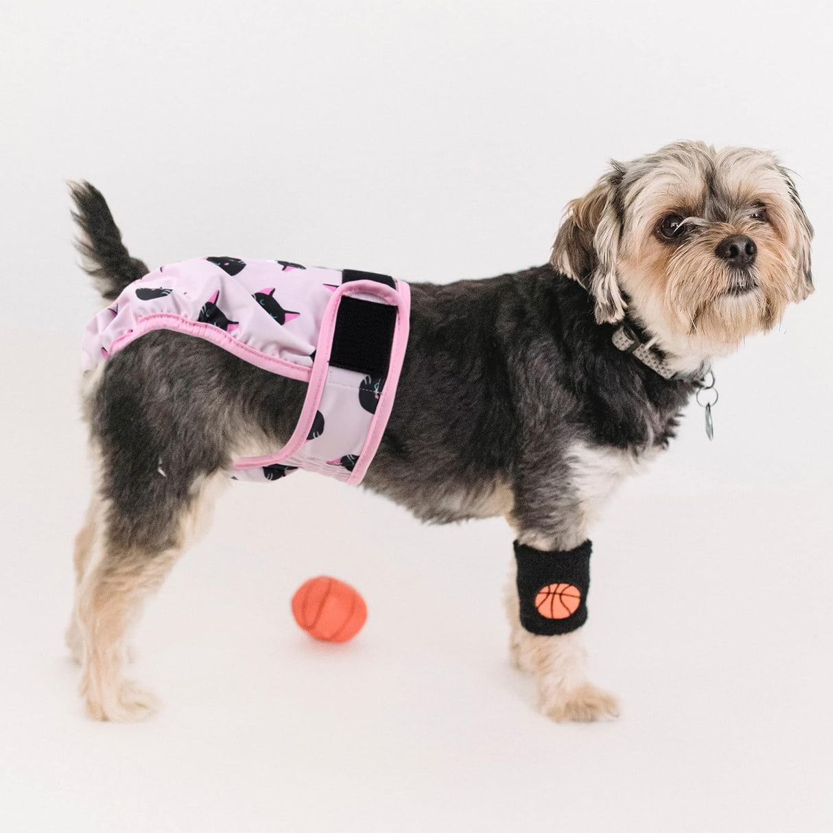 Fuz Bigaza Pañales lavables perras (paquete 3)(gato,búho,M)