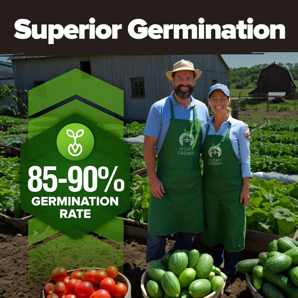 Pack de 55 Semillas de Vegetales Home Grown - No GMO