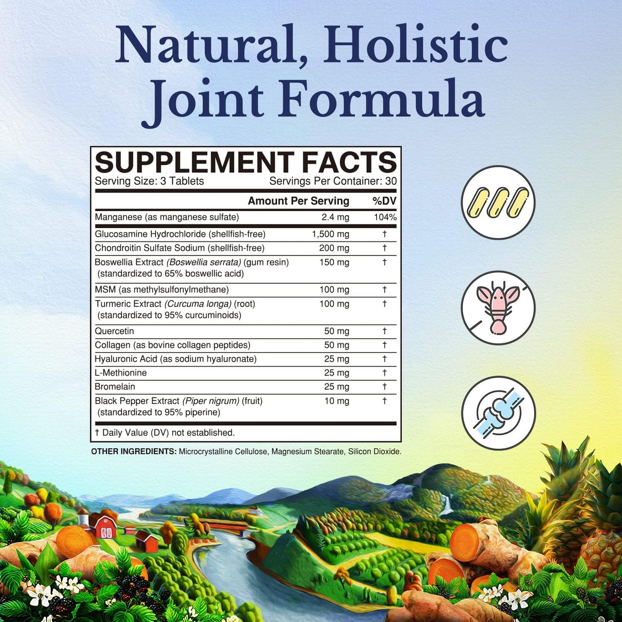 VITALITOWN Glucosamina condroitina MSM colágeno