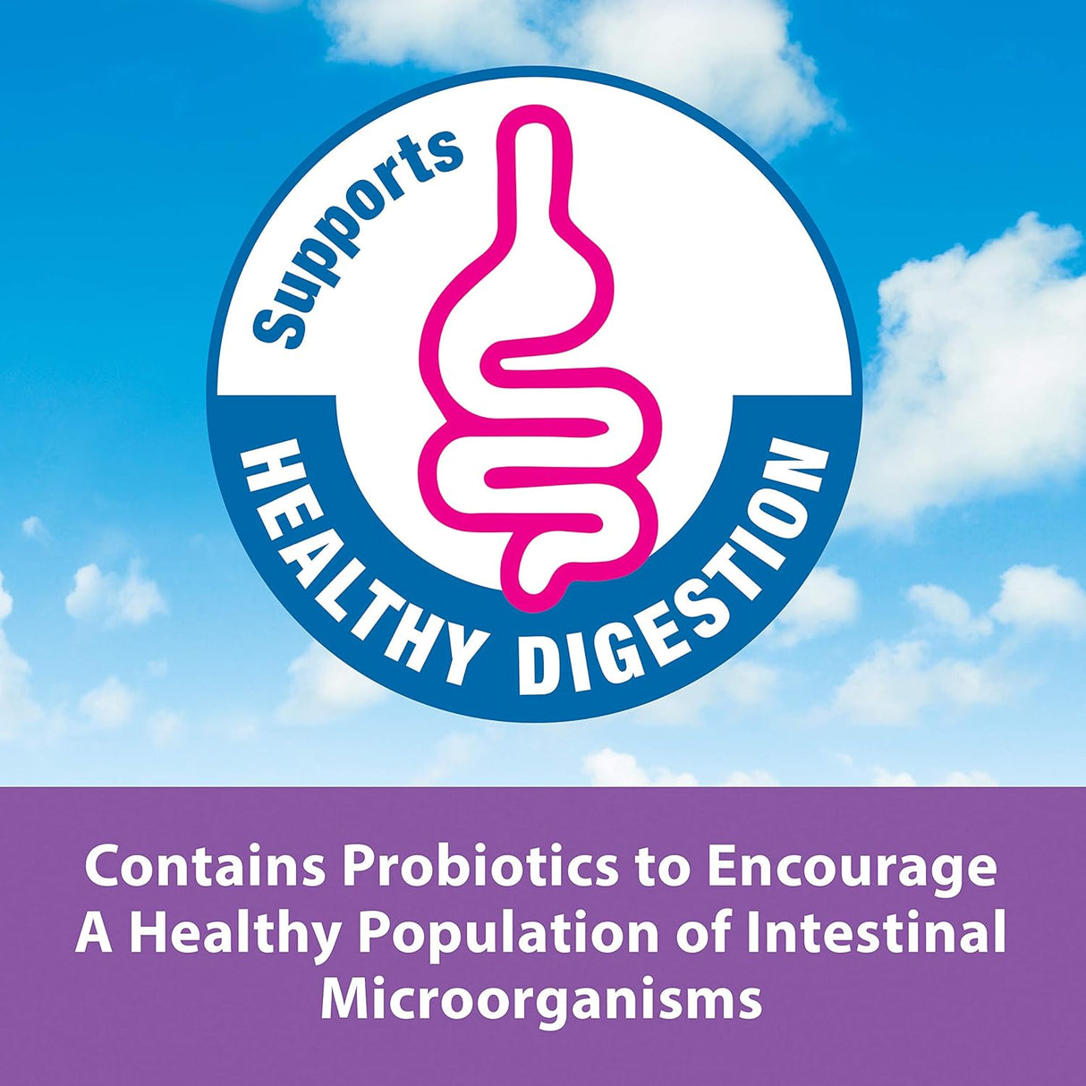 Kaytee Alimentación manual exacta para loros periquitos